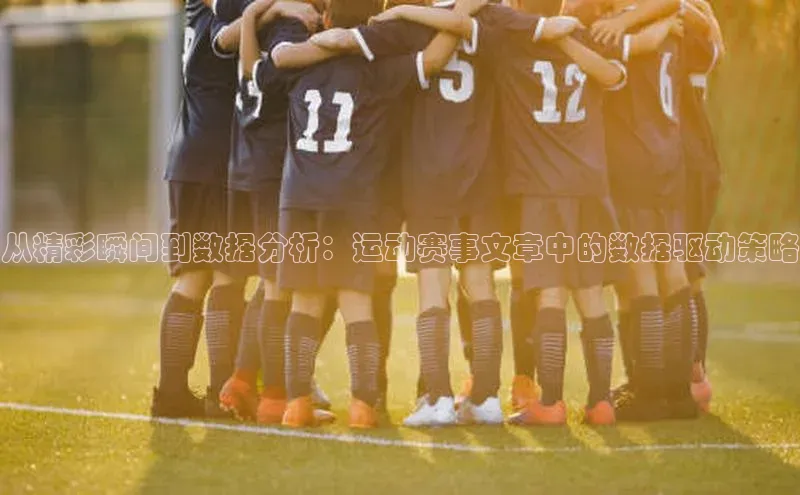 Zoty中欧体育登录入口