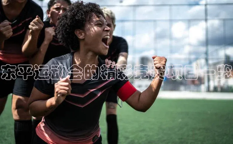 中欧体育官方平台入口