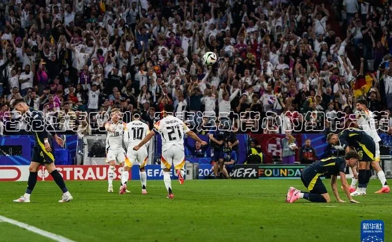 中欧app下载官网最新版