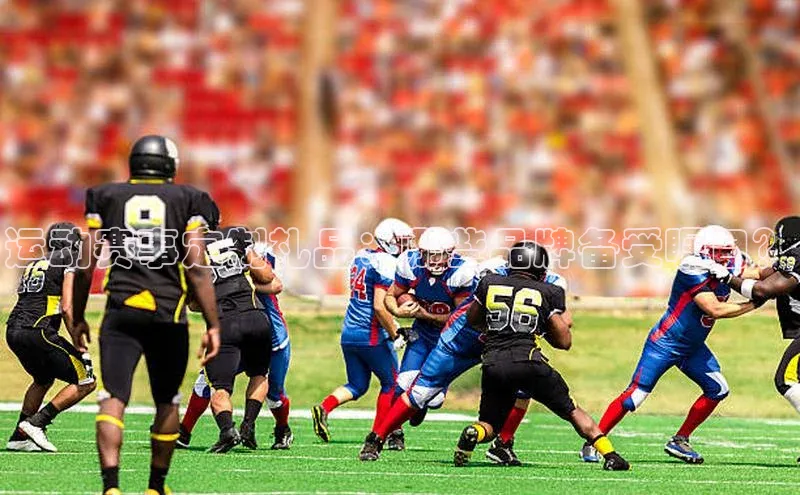 zoty中欧体育官方网站