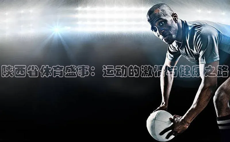 中欧体育网页版入口