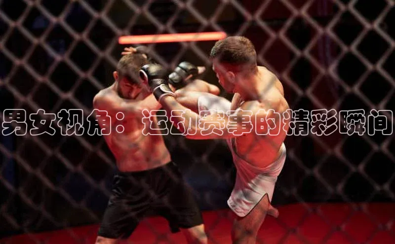 中欧体育官方平台入口下载