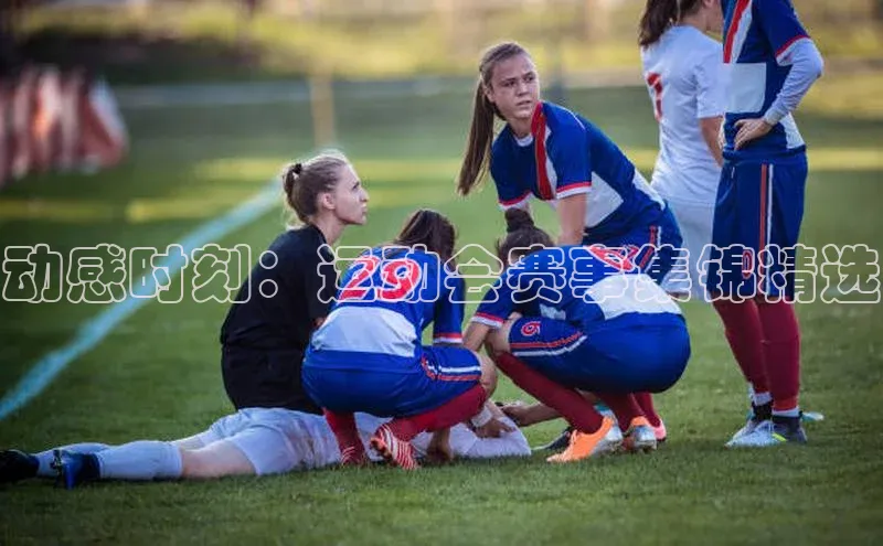 中欧体育官方平台入口网址