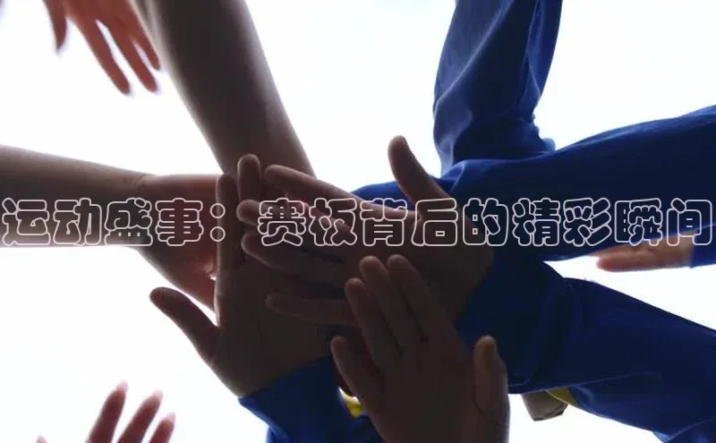 中欧体育官方网站链接